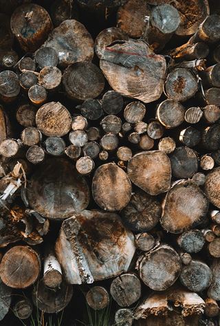 Træpiller på 6 mm - en økonomisk varmekilde