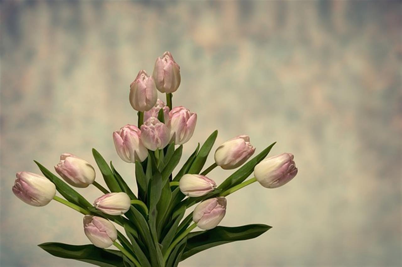 Overrask din kæreste med en personlig gave